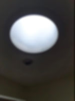 Image[7]