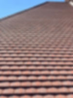 Image[3]